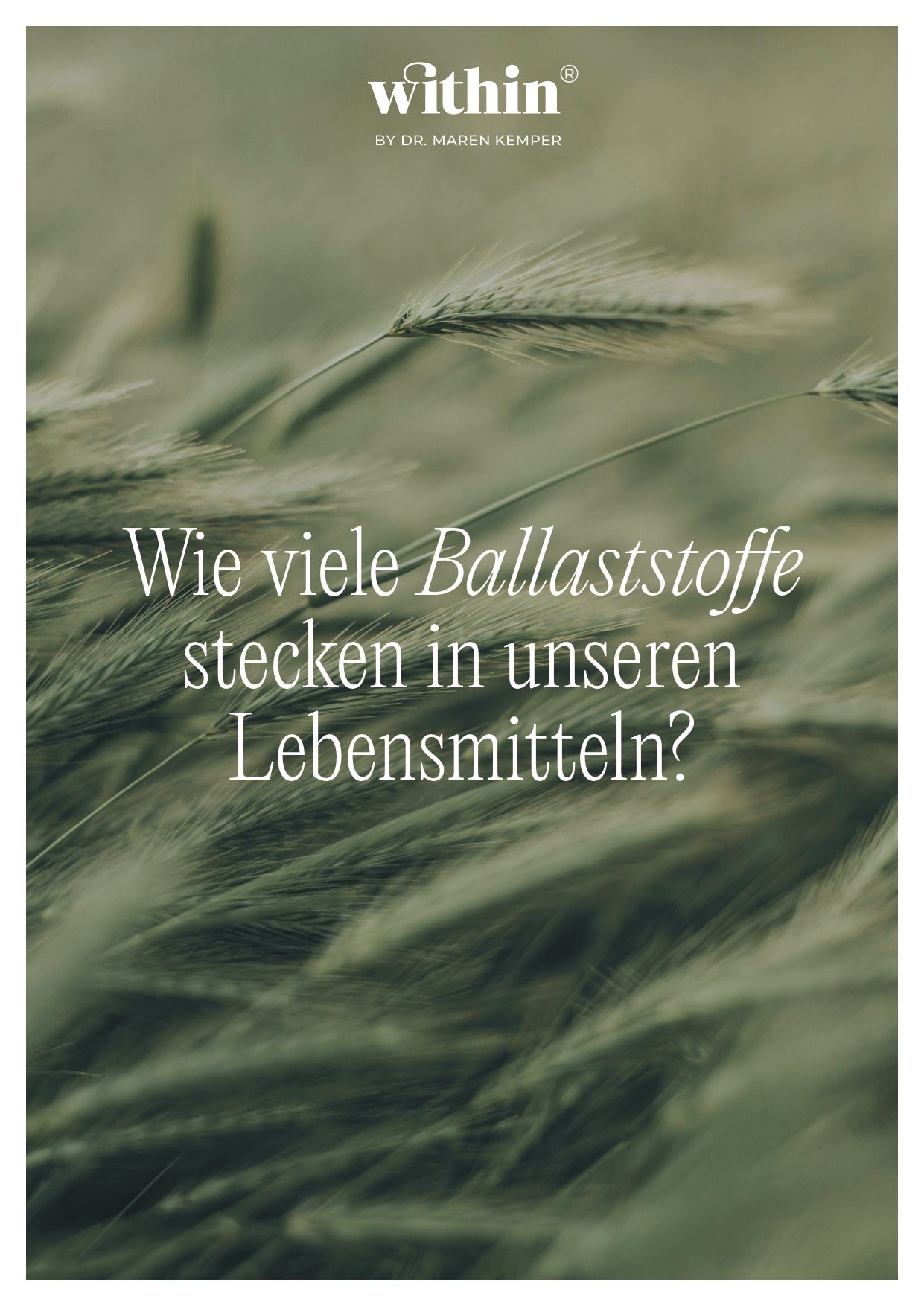 Dein ultimativer Ballaststoff-Guide (von Dr. Maren Kemper)