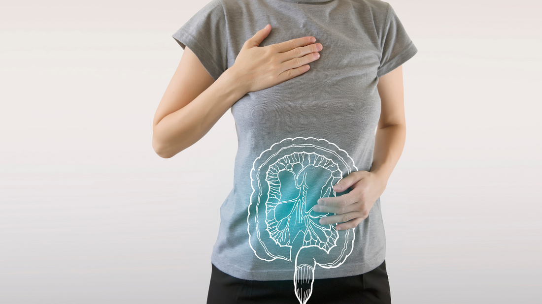 Darmaufbau / Darmsanierung