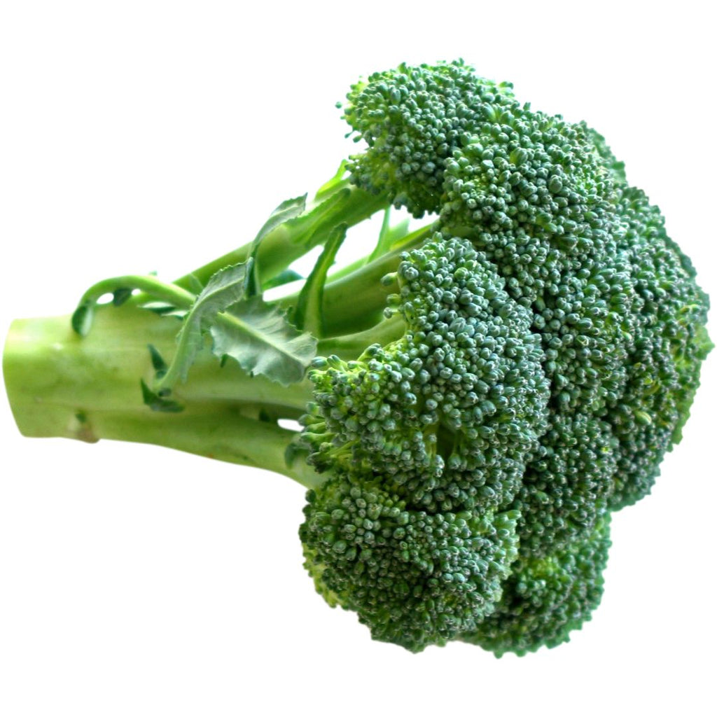 Brokkoli und die Effekte von Sulforaphan auf die Darmgesundheit