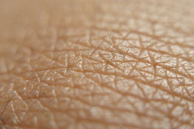 Ein Blick auf unsere Hautgesundheit: Das Wunderwerk, das uns umhüllt