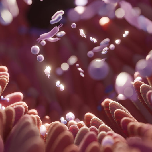 Faecalibacterium prausnitzii