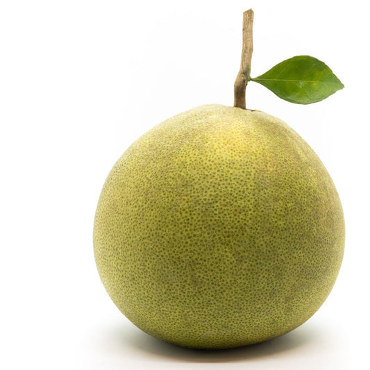 Die Pomelo: Eine exotische Frucht, die Deine Darmflora und -gesundheit fördert