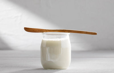 Joghurt mit Lactobacillus bulgaricus