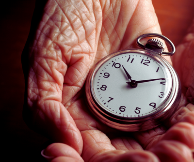 Warum altern wir? Mechanismen des Alterns und die Rolle der Darmflora